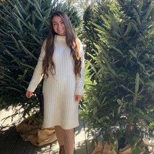 Banana Republic Sweater Dress